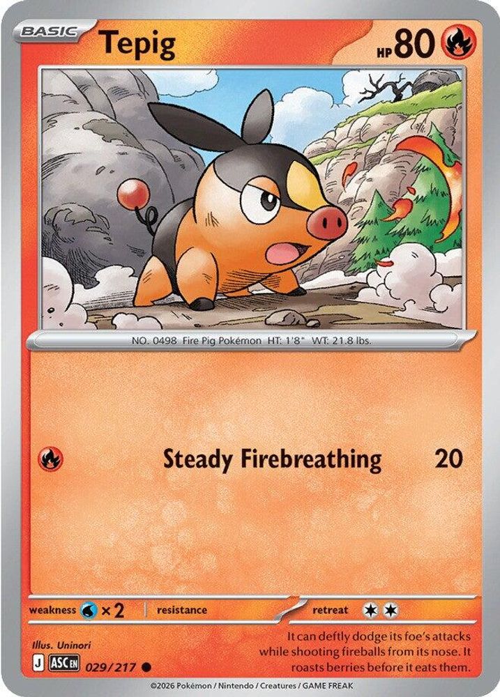 029/217 - Tepig - Ascended Heroes - Common