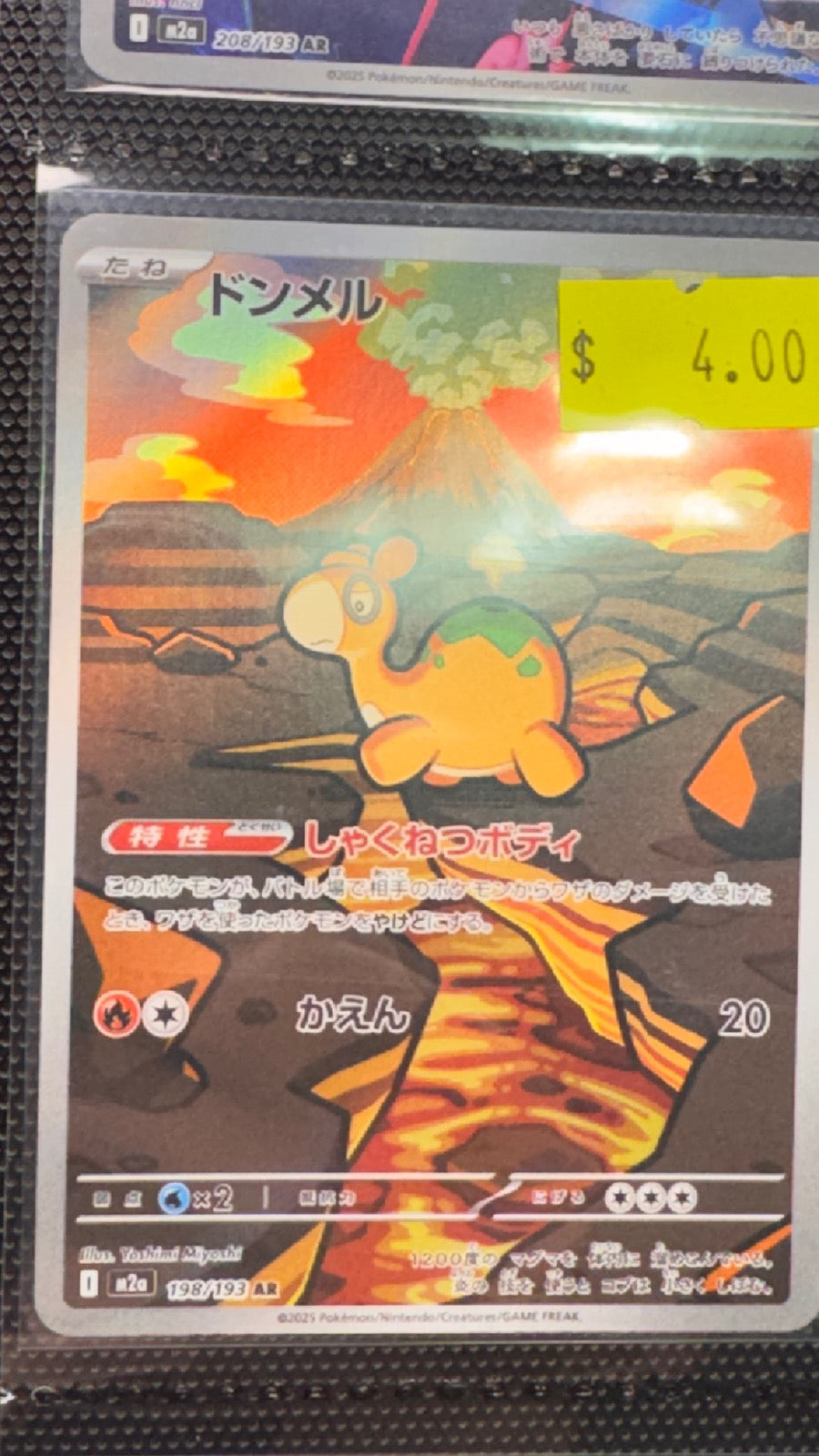 198/193 - Numel HOLO - MEGA Dream ex - Art Rare