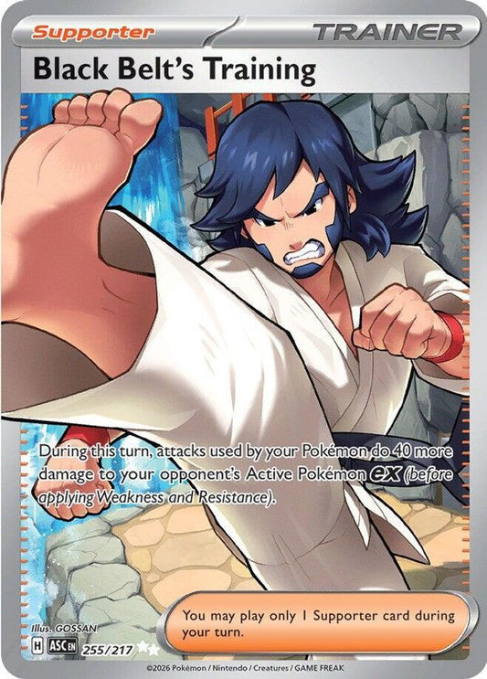 255/217 - Black Belt's Training HOLO - Ascended Heroes - Ultra Rare