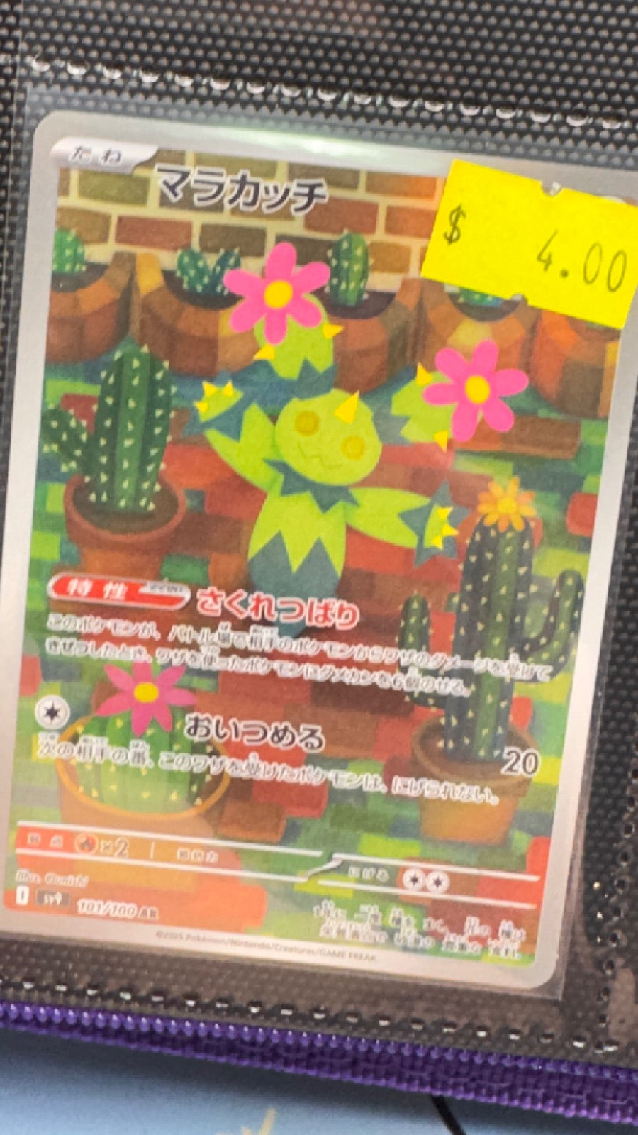 101/100 - Maractus HOLO - Battle Partners - Art Rare