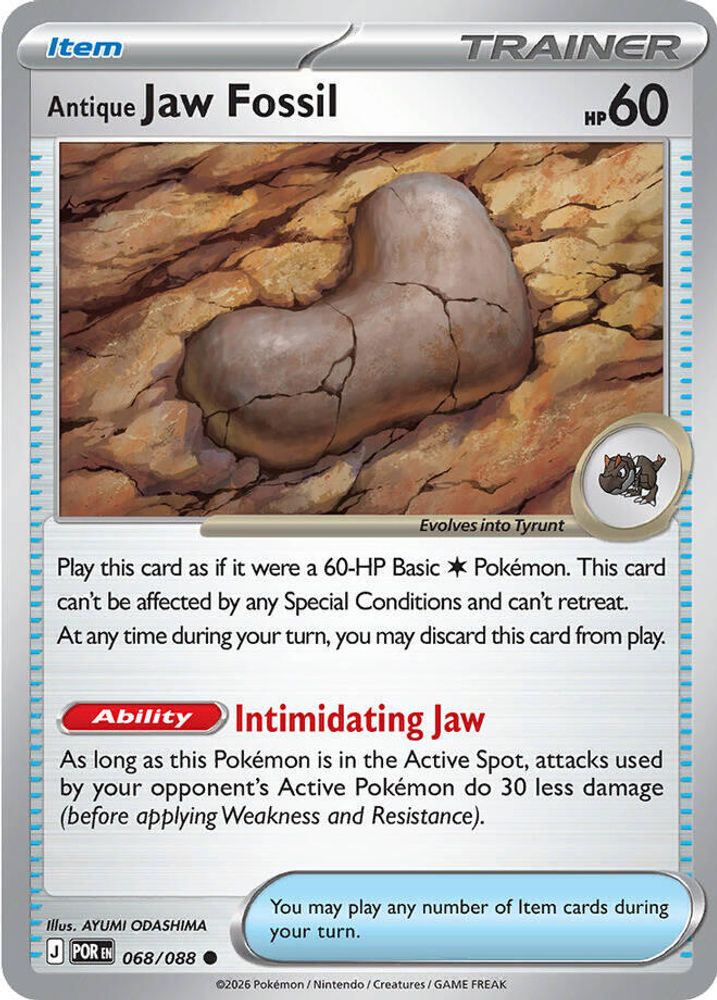 068/088 - Antique Jaw Fossil - Perfect Order - Common