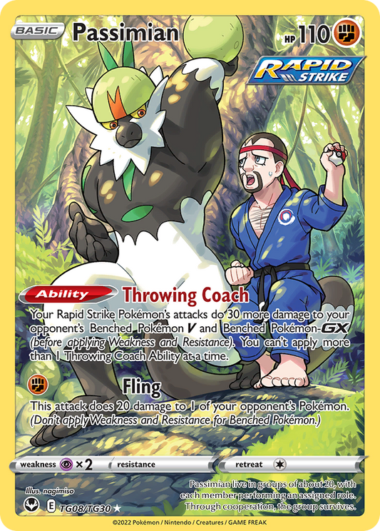 TG08/TG30 - Passimian HOLO - Silver Tempest Trainer Gallery -